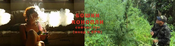ГАЛЛЮЦИНОГЕННЫЕ ГРИБЫ Кодинск