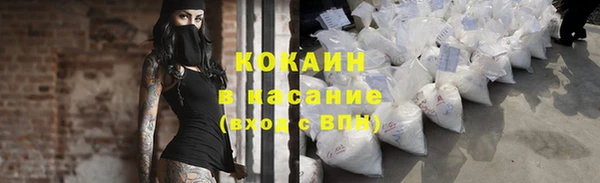 ГАЛЛЮЦИНОГЕННЫЕ ГРИБЫ Кодинск
