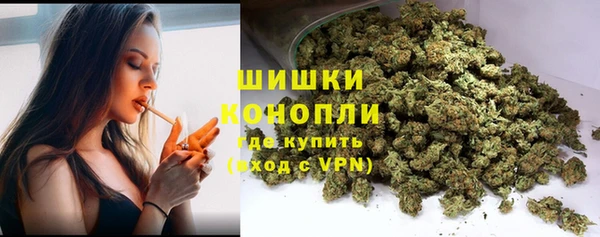 ГАЛЛЮЦИНОГЕННЫЕ ГРИБЫ Кодинск