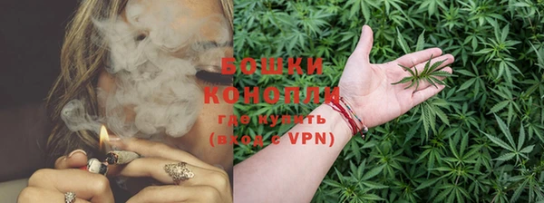 ГАЛЛЮЦИНОГЕННЫЕ ГРИБЫ Кодинск